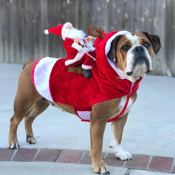 Santa Christmas Costume Outfit for Dogs and Cats