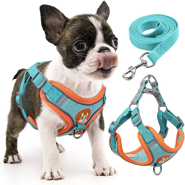 Step-In Reflective Vest Harness and Leash Set for Puppies