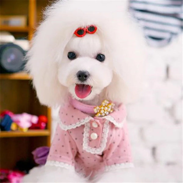 Heart Sunglasses Pet Hair Clips & Bow Set for Dogs and Cats