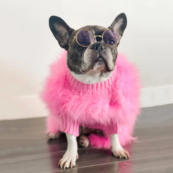 Soft Textured Warm Dog Sweater for Party Looks