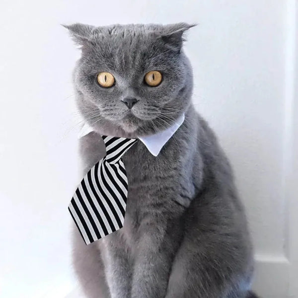 Adjustable Pet Bow Tie Neck Tie for Small Dogs and Cats