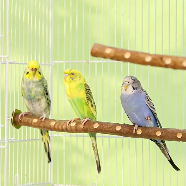 Natural Wood Bird Perch Stand for Cage Exercise