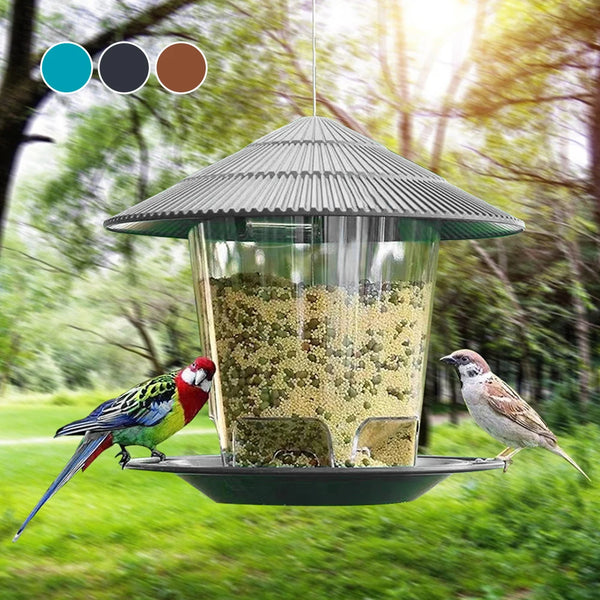 Hanging Outdoor Peanut and Seed Bird Feeder
