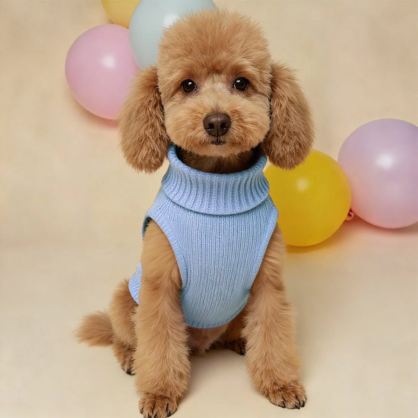 Lightweight Warm Winter Dog Sweater for Everyday Walks