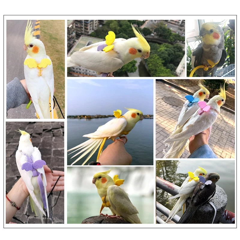 Adjustable Parrot Harness and Flying Leash Set