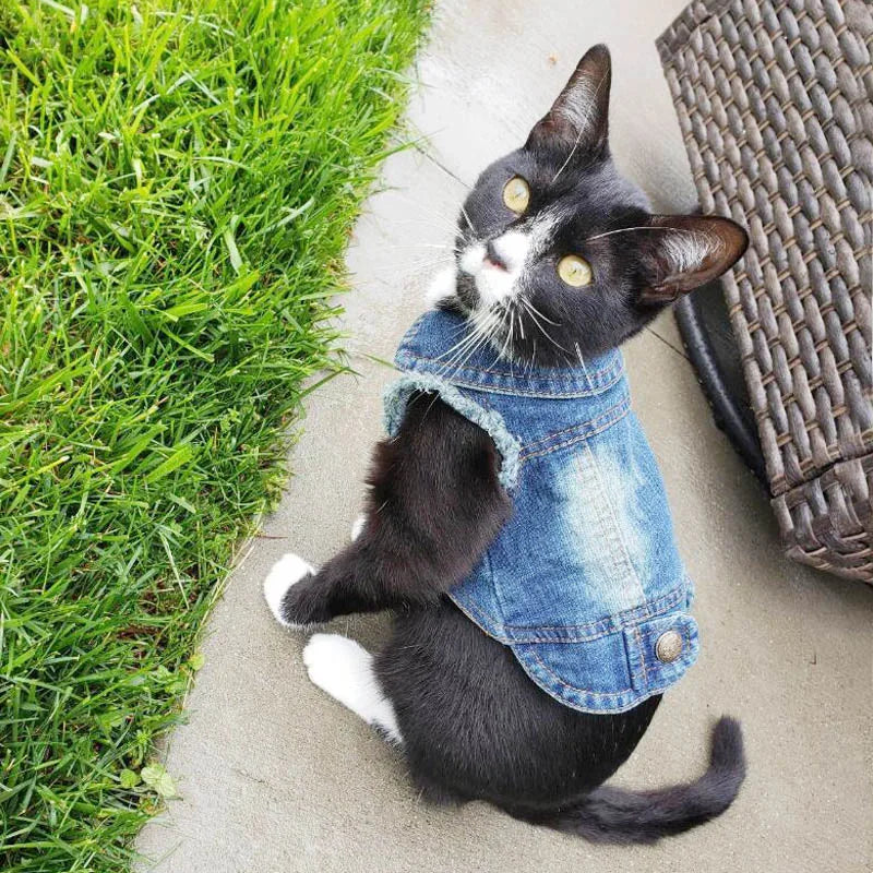Casual Denim Vest Jacket for Kittens and Small Cats