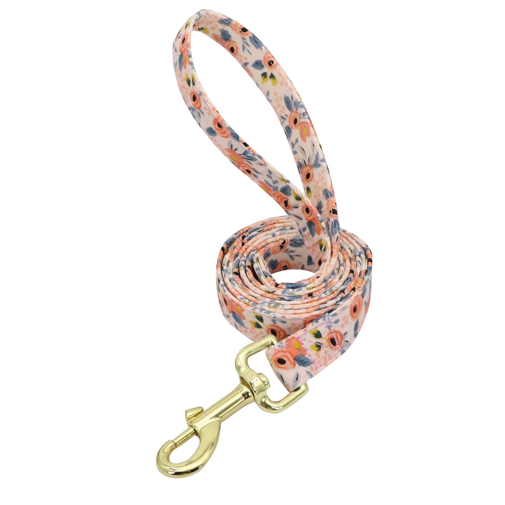 Custom Engraved Nylon Dog Collar and Leash Set