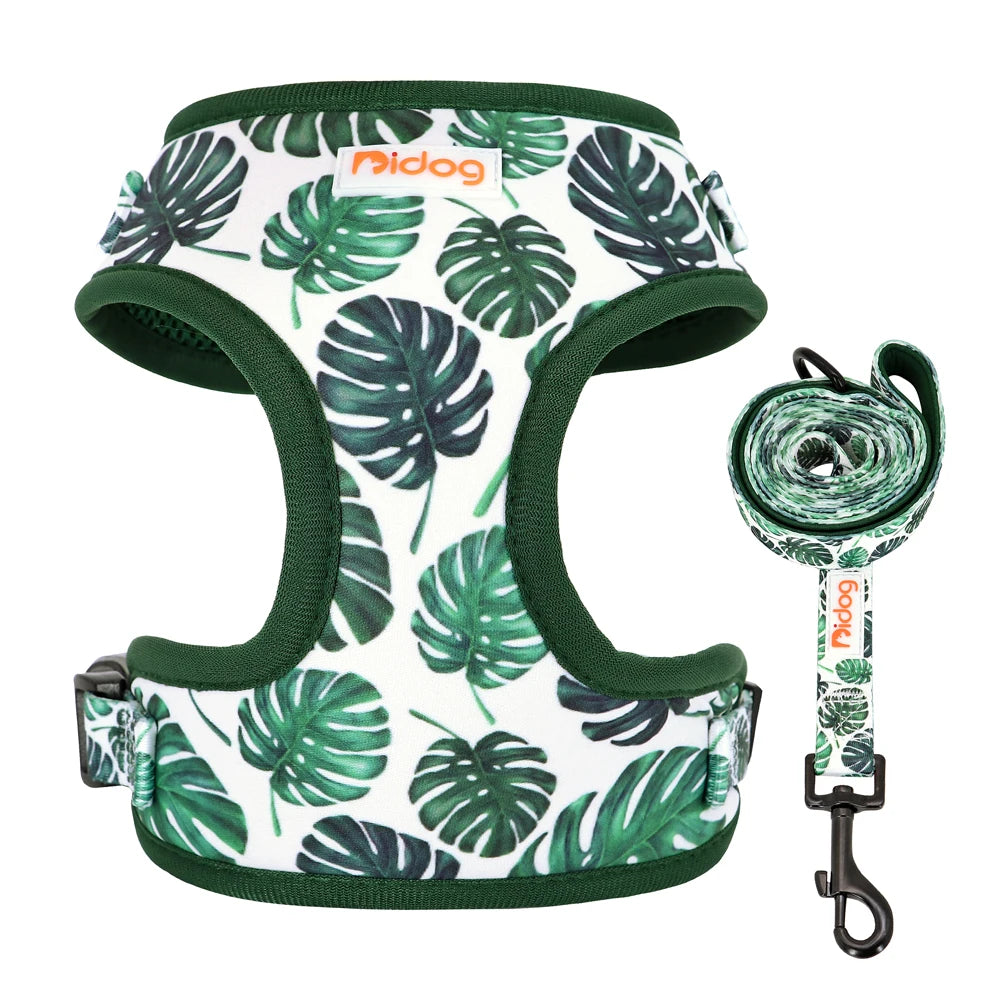 Printed Mesh Harness and Leash Set for French Bulldogs and Pugs