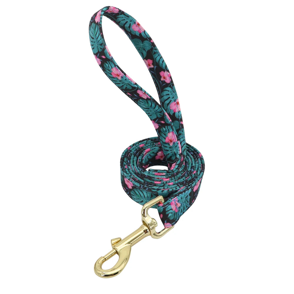 Custom Engraved Nylon Dog Collar and Leash Set