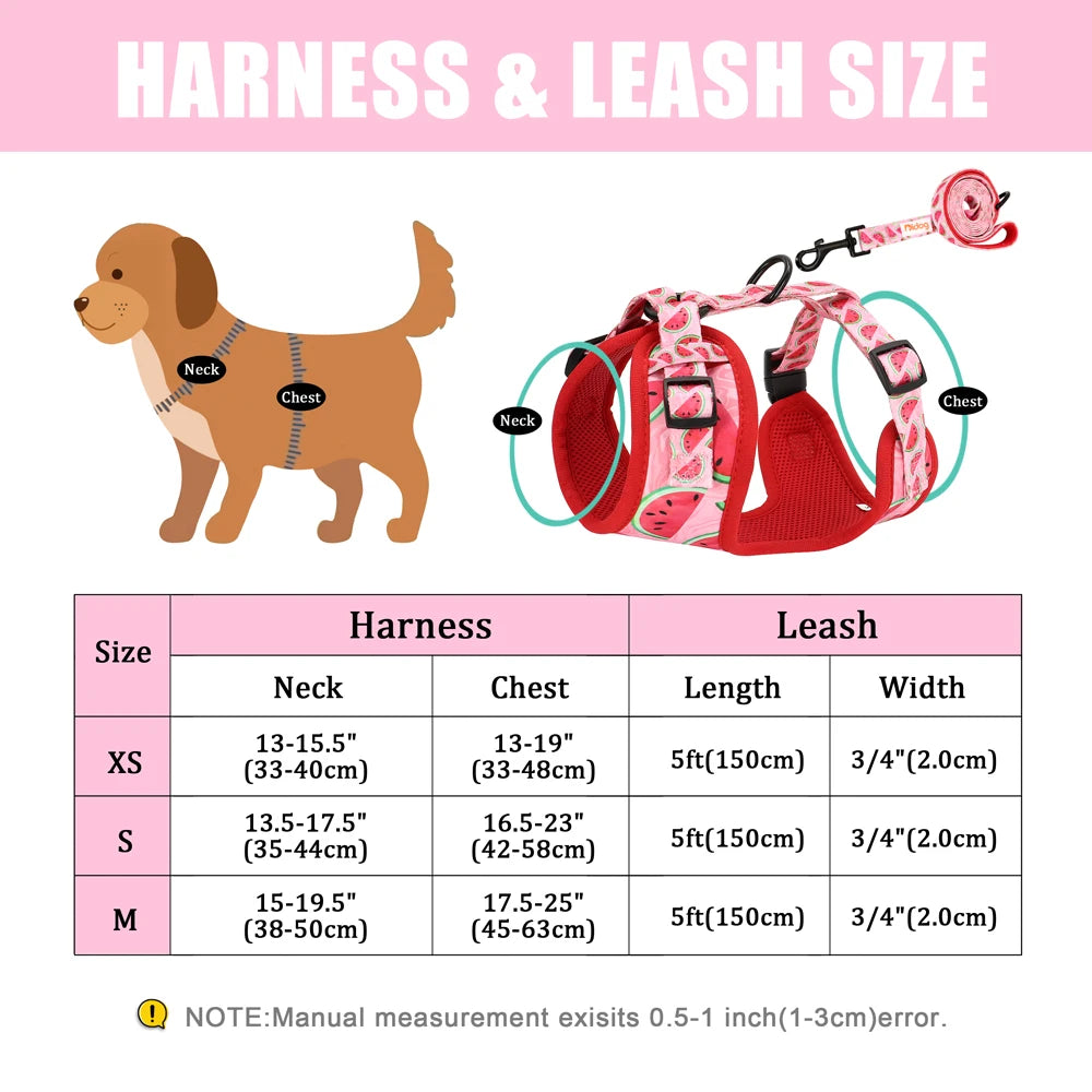 Printed Mesh Harness and Leash Set for French Bulldogs and Pugs