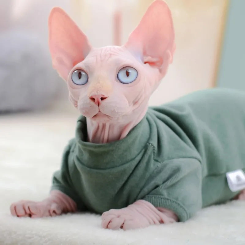Cotton Cartoon Hoodie Vest for Sphynx Cats and Kittens
