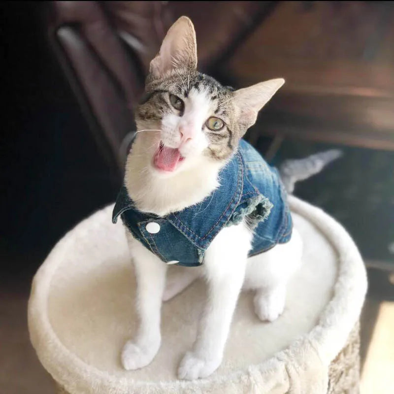 Casual Denim Vest Jacket for Kittens and Small Cats