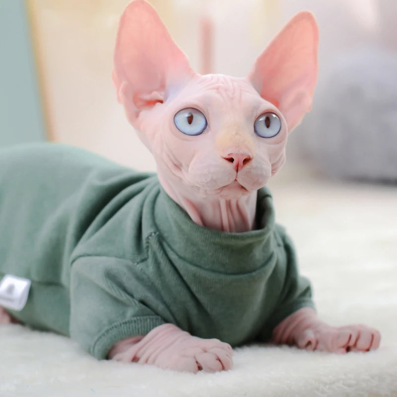 Cotton Cartoon Hoodie Vest for Sphynx Cats and Kittens