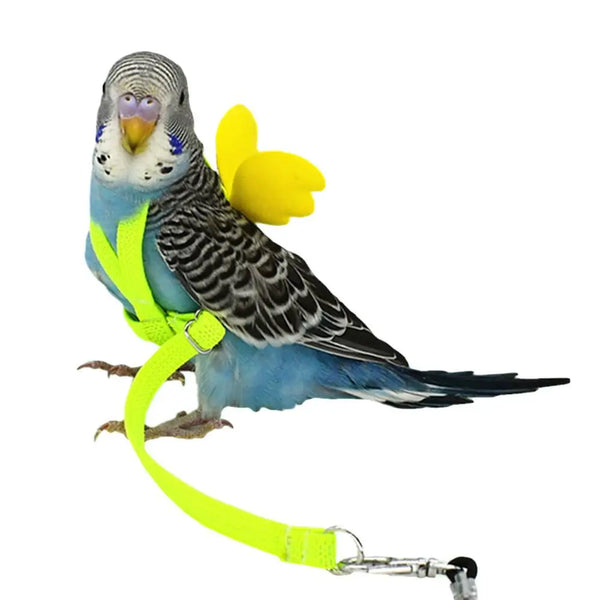 Adjustable Parrot Harness and Flying Leash Set