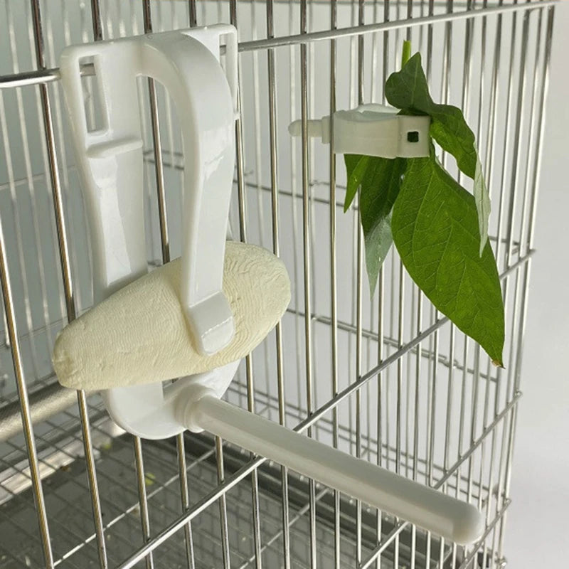 Parrot Fruit and Cuttlefish Bone Clip Holder