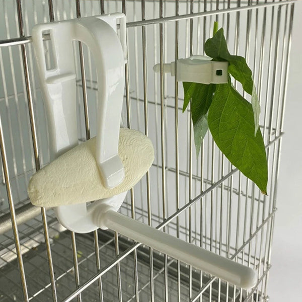 Parrot Fruit and Cuttlefish Bone Clip Holder