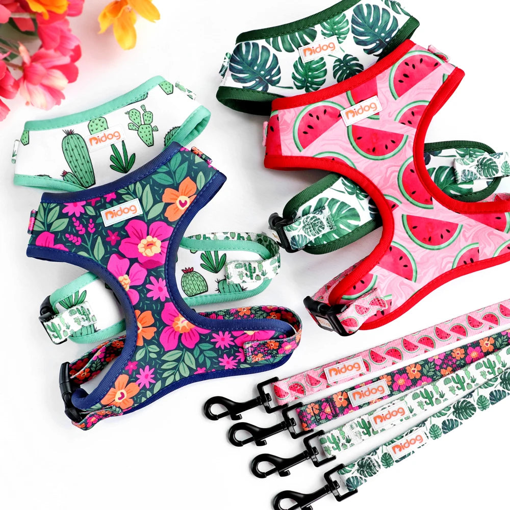 Printed Mesh Harness and Leash Set for French Bulldogs and Pugs