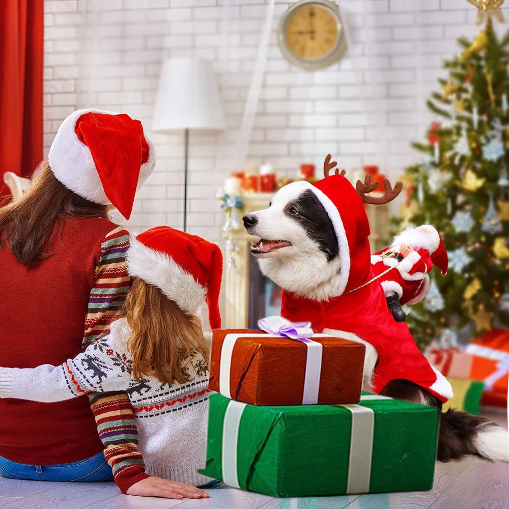 Santa Christmas Costume Outfit for Dogs and Cats