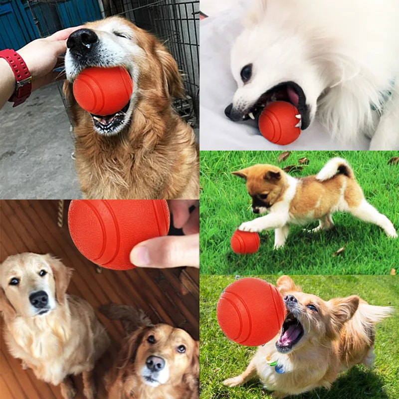 Bite-Resistant Rubber Ball Dog Toy for Strong Chewers