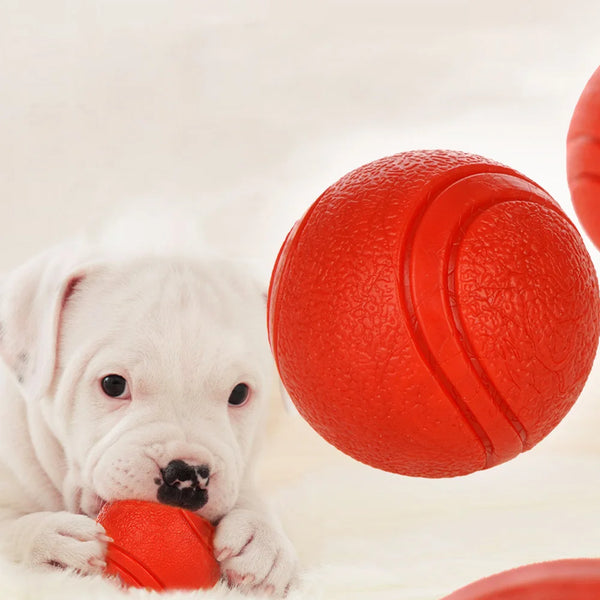 Bite-Resistant Rubber Ball Dog Toy for Strong Chewers