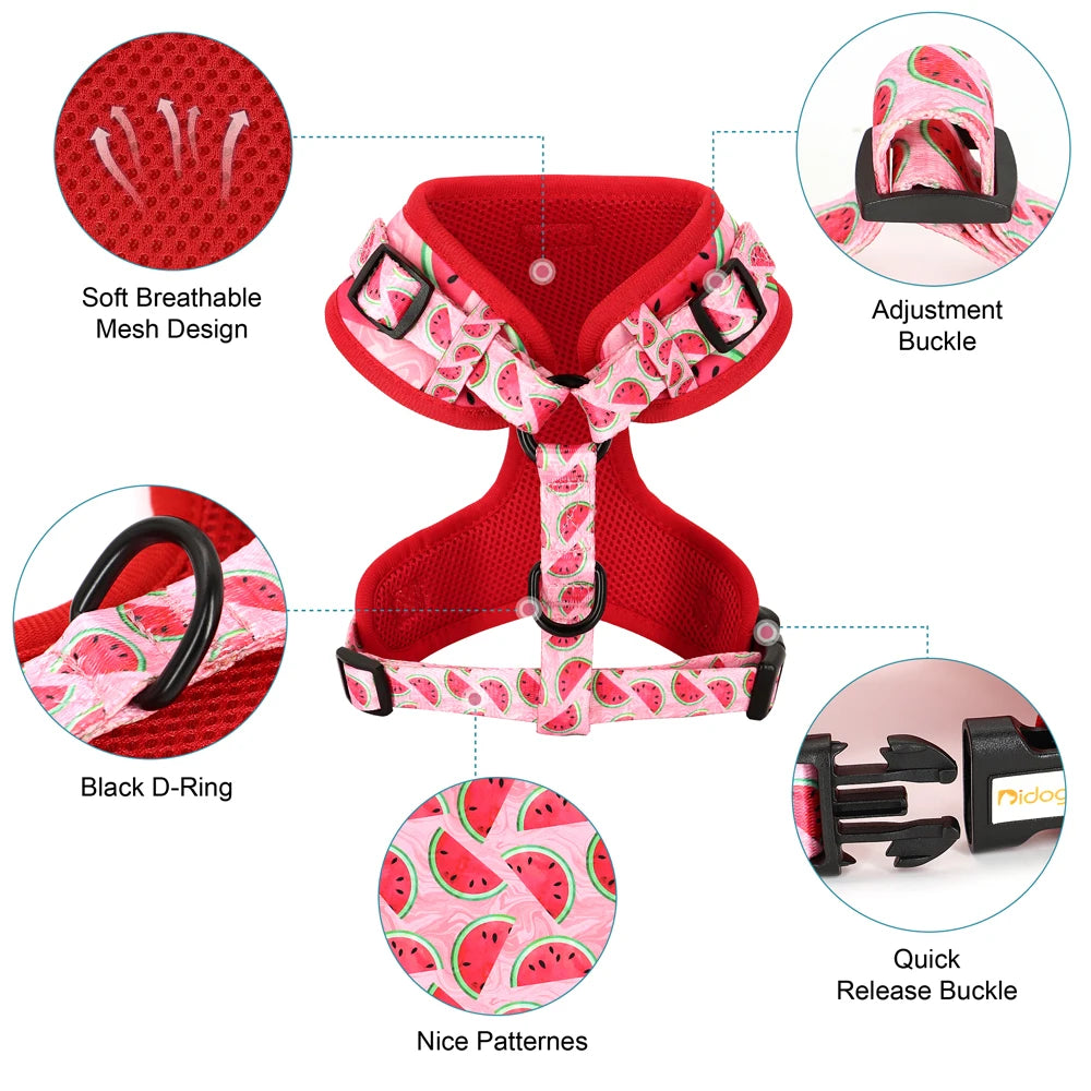Printed Mesh Harness and Leash Set for French Bulldogs and Pugs