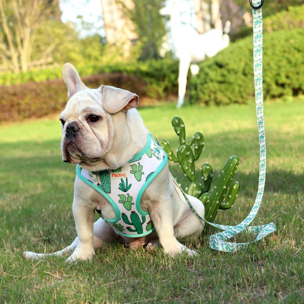 Printed Mesh Harness and Leash Set for French Bulldogs and Pugs