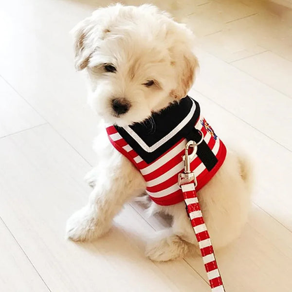 Navy Suit Adjustable Harness and Leash Set for Small Pets