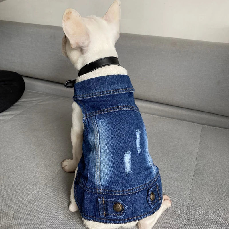 Casual Denim Vest Jacket for Kittens and Small Cats