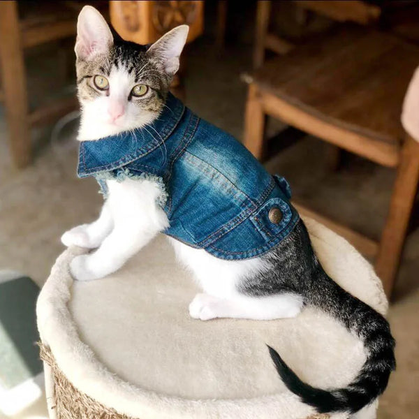 Casual Denim Vest Jacket for Kittens and Small Cats