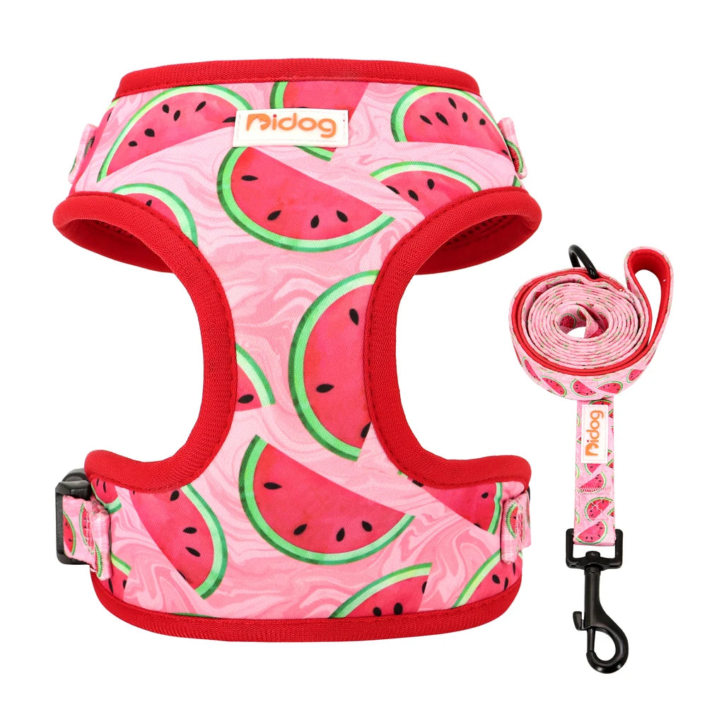 Printed Mesh Harness and Leash Set for French Bulldogs and Pugs