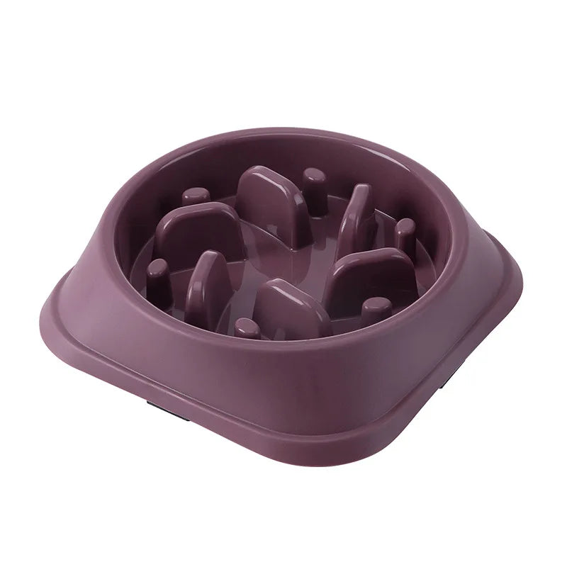 Non-Slip Slow Feeder Bowl for Dogs and Cats