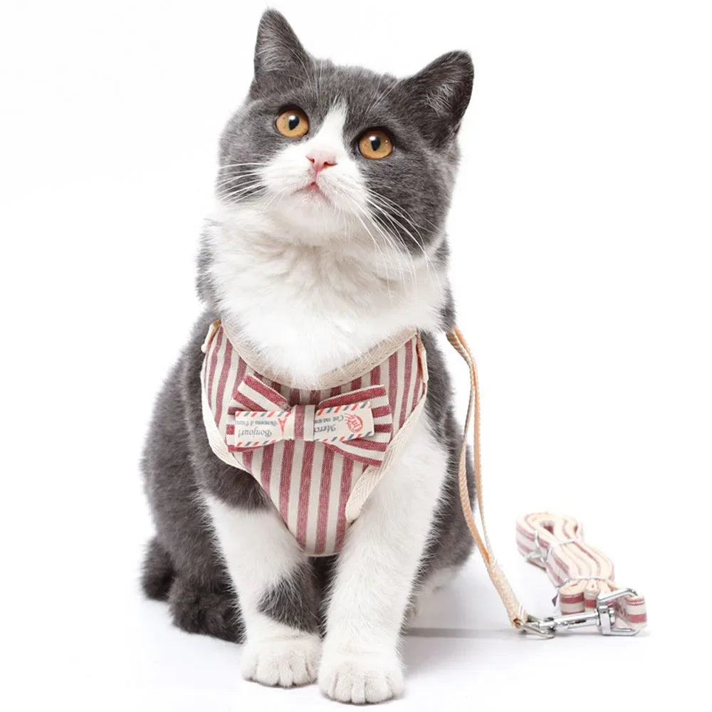 Bowknot Mesh Harness and Leash Set for Small Dogs and Cats
