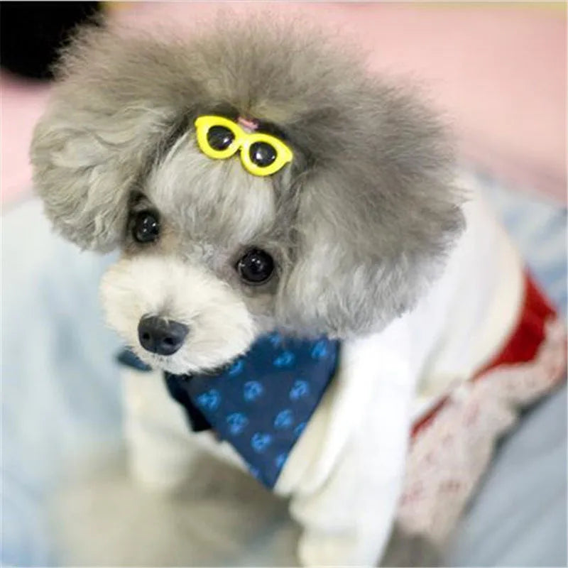 Heart Sunglasses Pet Hair Clips & Bow Set for Dogs and Cats