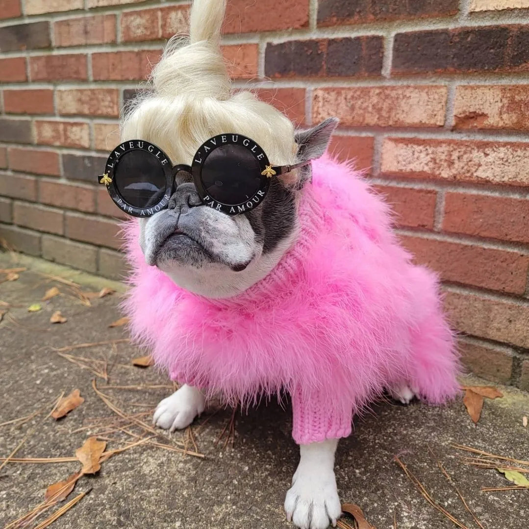Soft Textured Warm Dog Sweater for Party Looks