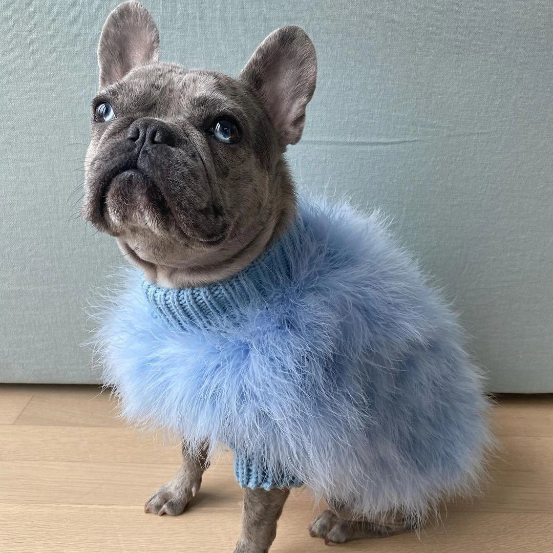 Soft Textured Warm Dog Sweater for Party Looks