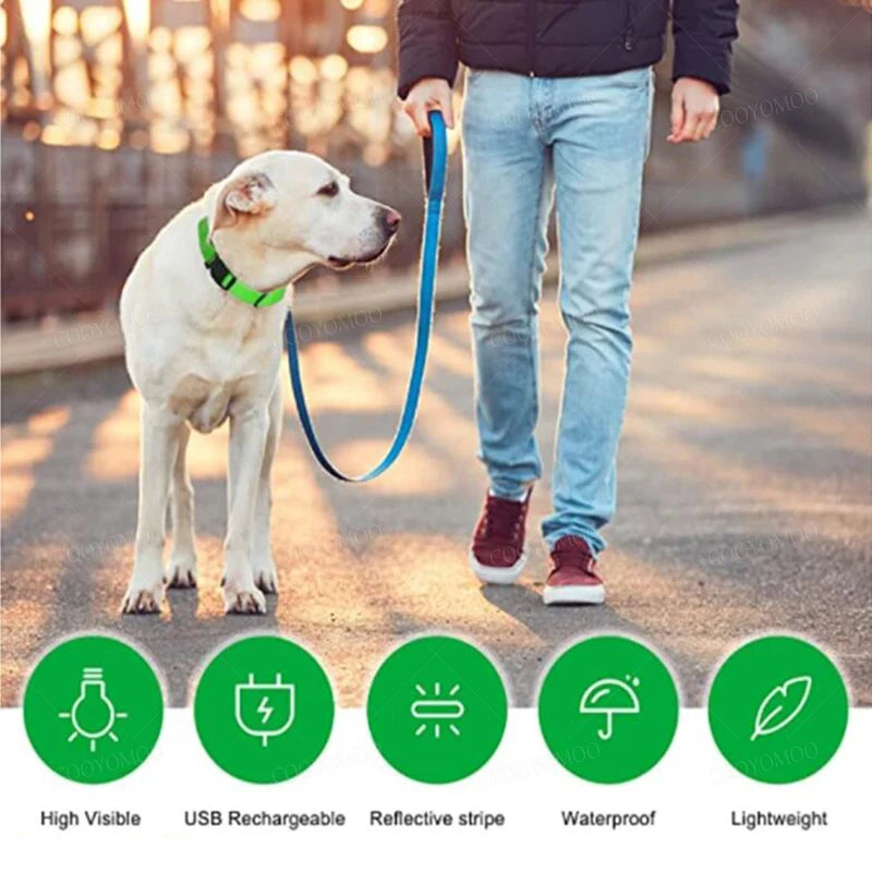 USB Rechargeable LED Glow Collar with 3 Light Modes