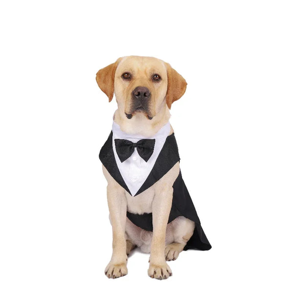 Formal Dog Tuxedo Shirt With Bow Tie for Parties and Weddings