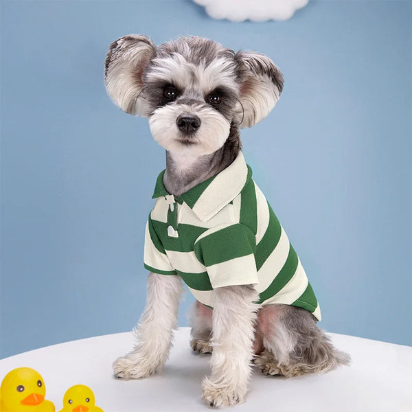 Summer Polo Shirt for Dogs and Cats - Casual Everyday Tee