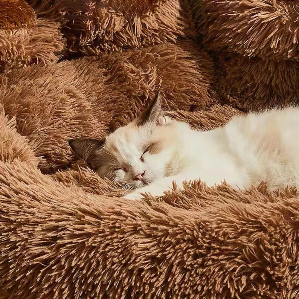 Plush Winter Sofa Dog Bed for Small to Large Pets