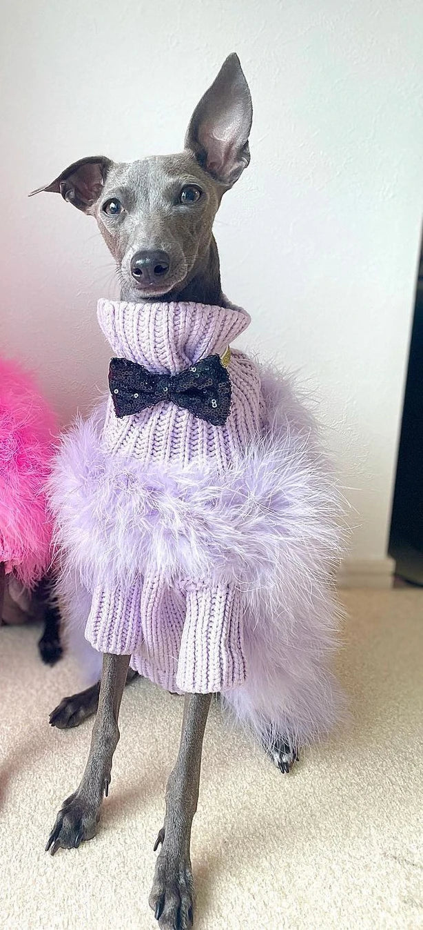 Soft Textured Warm Dog Sweater for Party Looks