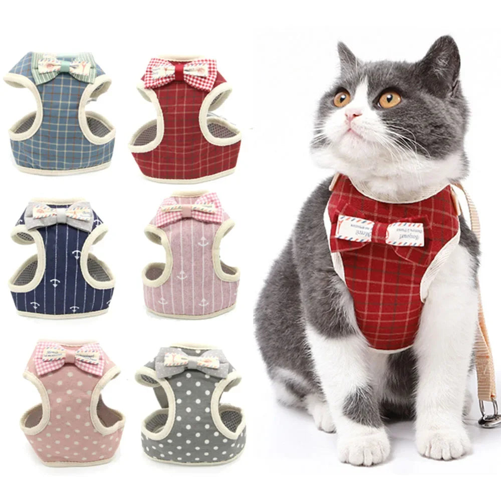 Bowknot Mesh Harness and Leash Set for Small Dogs and Cats