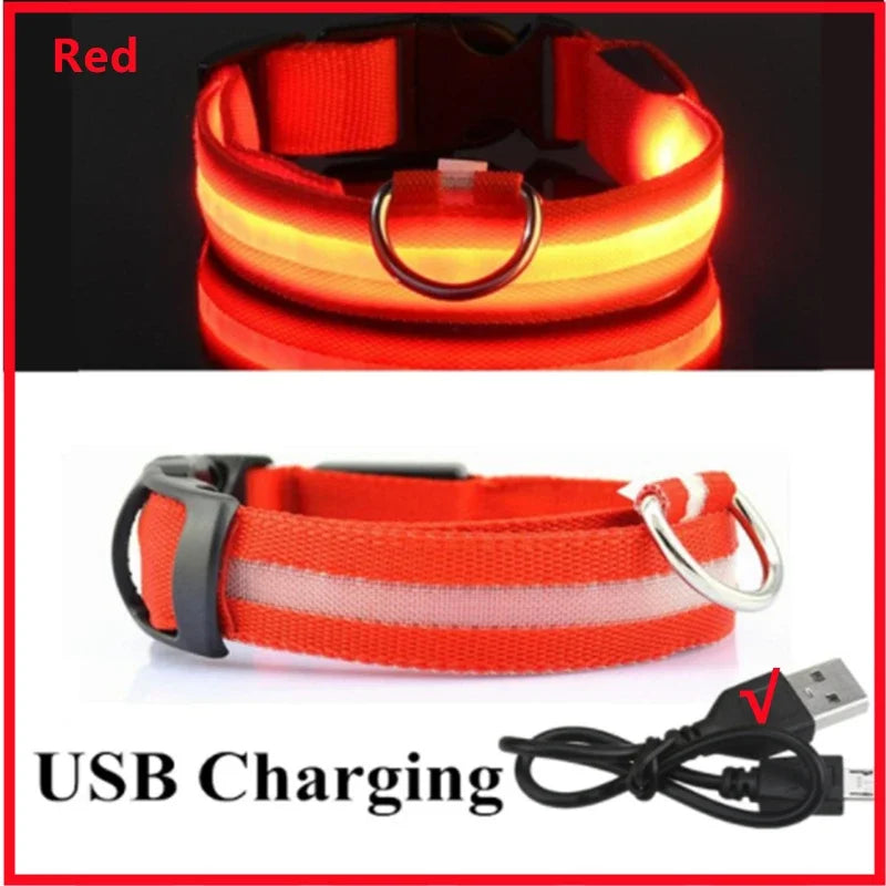 USB Rechargeable LED Glow Collar with 3 Light Modes