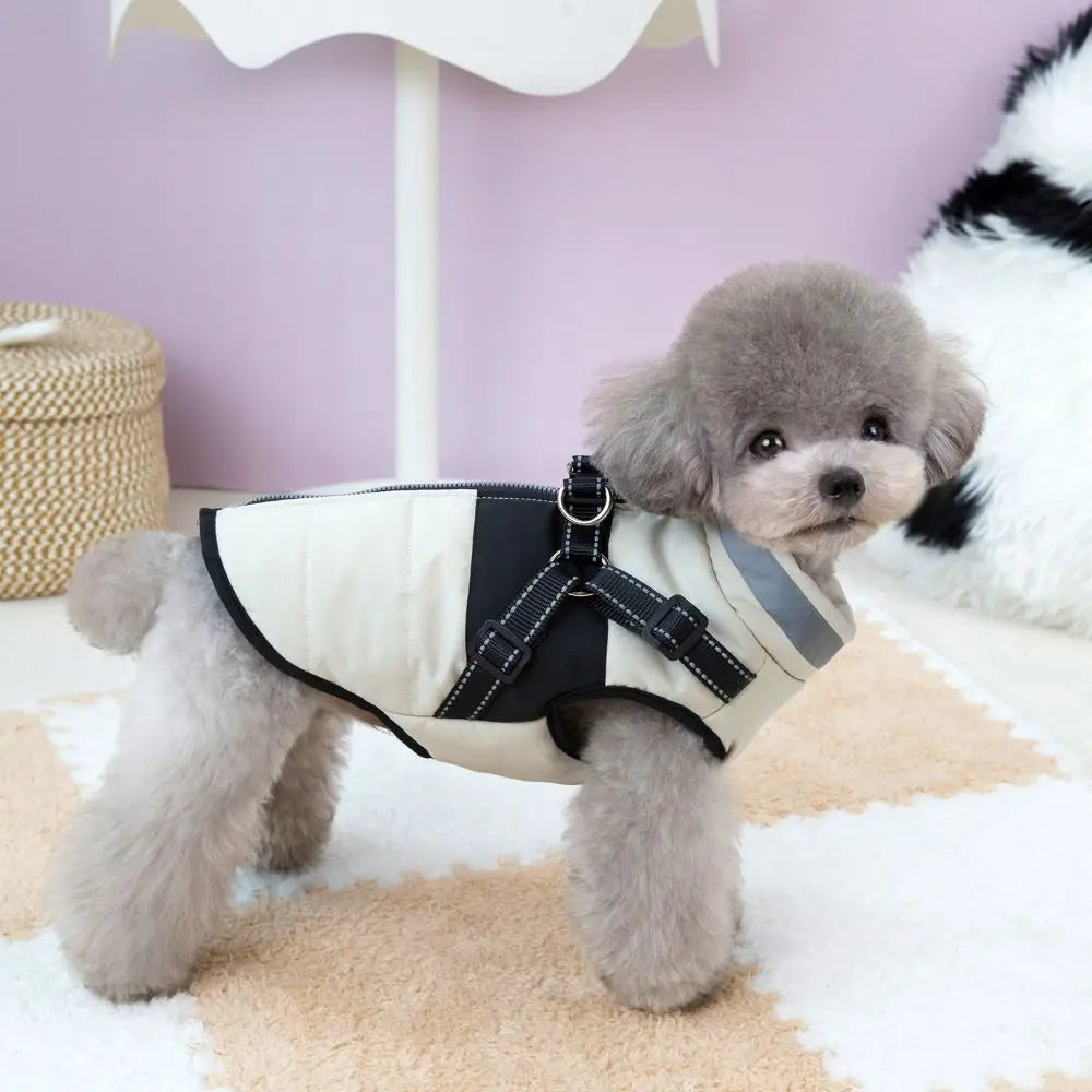 Adjustable Windproof Dog Jacket With Harness Zipper