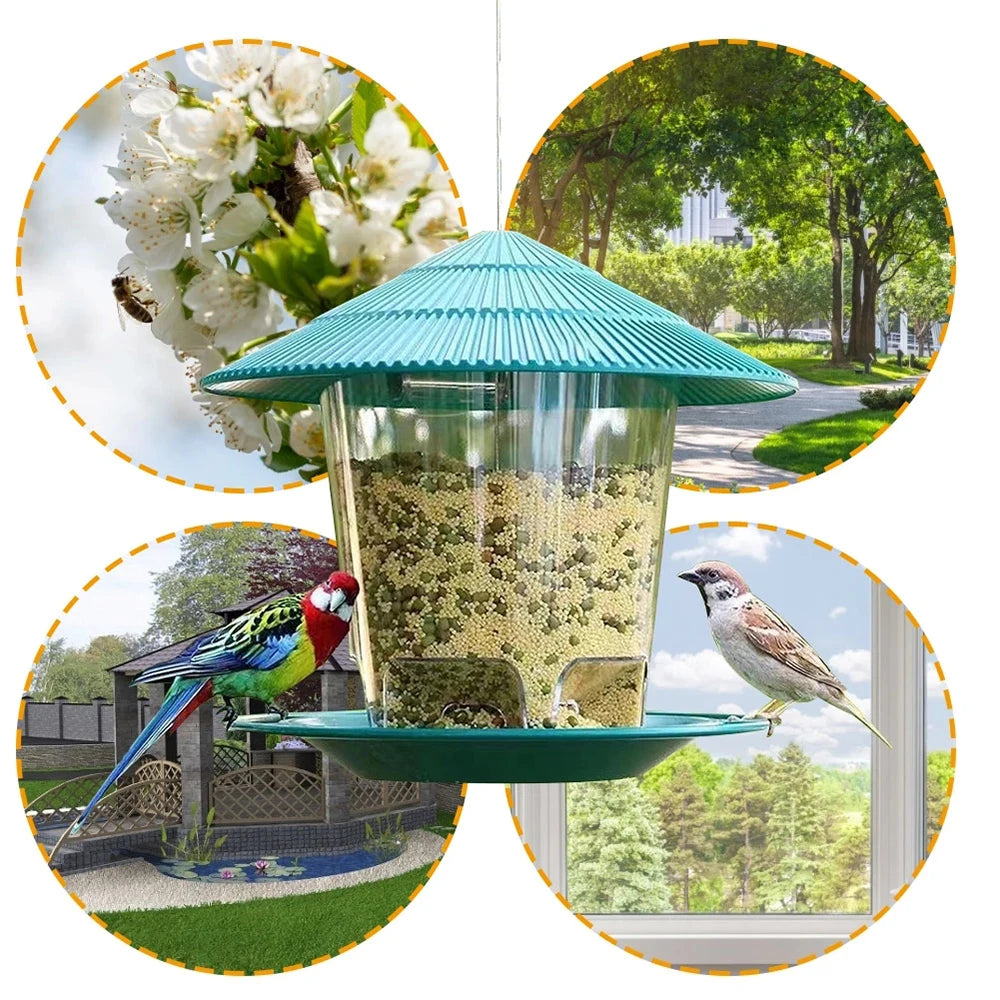 Hanging Outdoor Peanut and Seed Bird Feeder