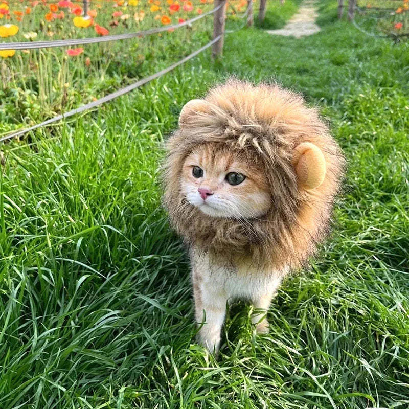 Lion Mane Cat Hat for Photos, Parties and Cozy Fun