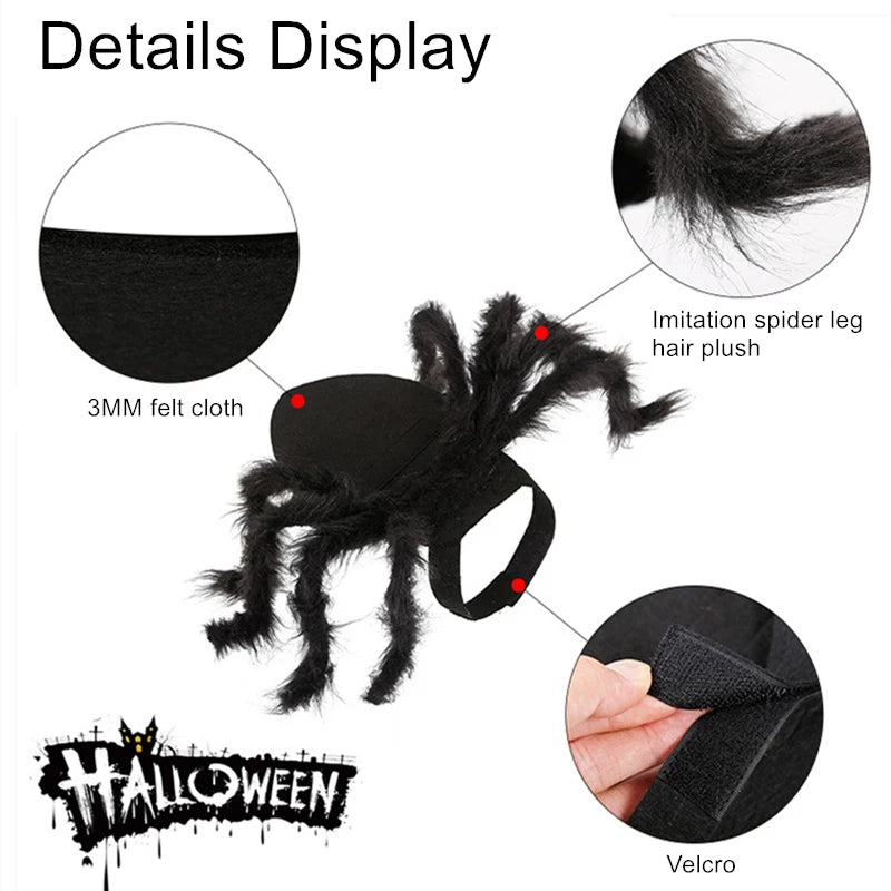 Halloween Spider Costume for Cats and Small Dogs