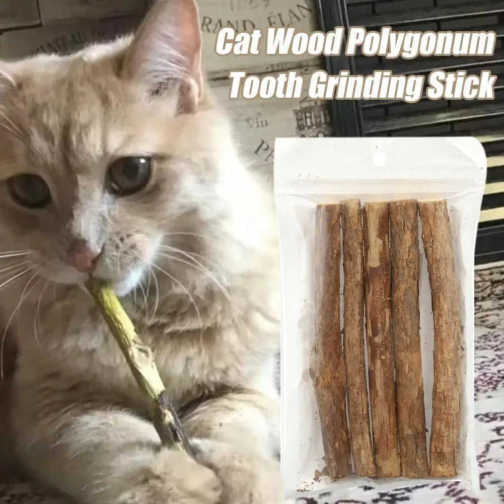 Natural Catnip Chew Sticks for Dental Play