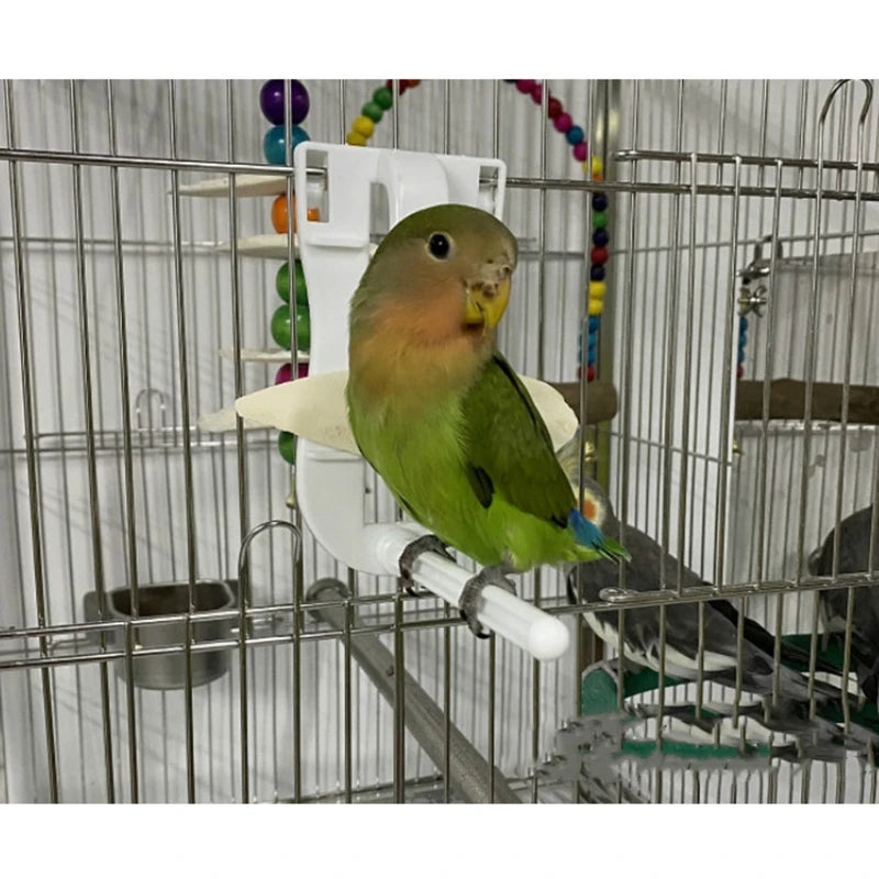 Parrot Fruit and Cuttlefish Bone Clip Holder