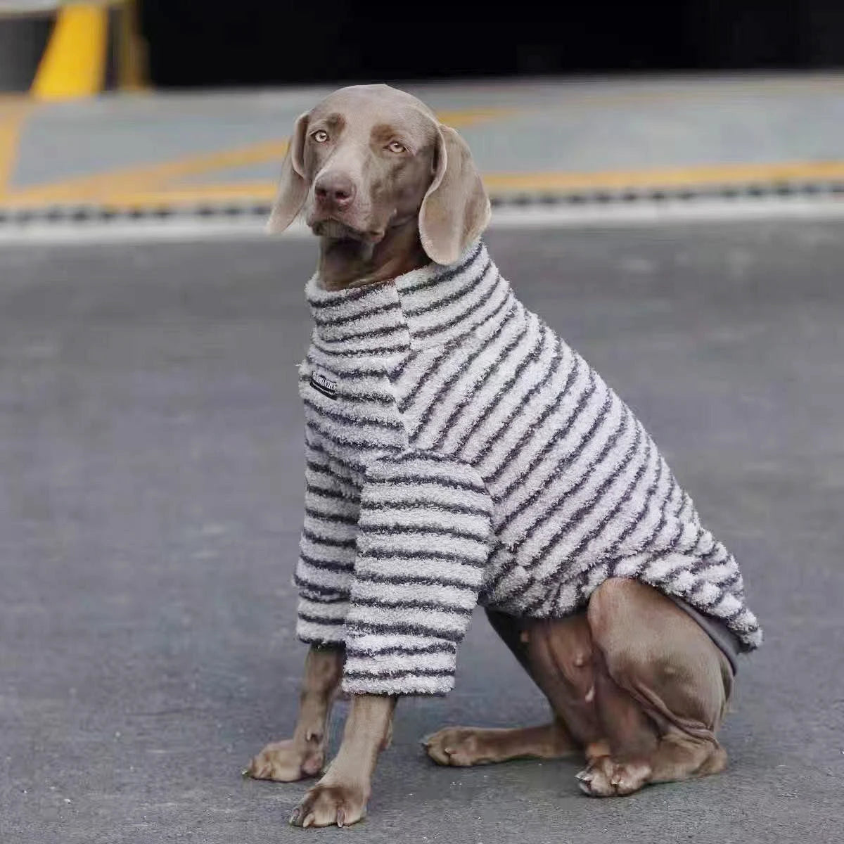 Striped Fleece Turtleneck Dog Sweater for Medium and Large Dogs