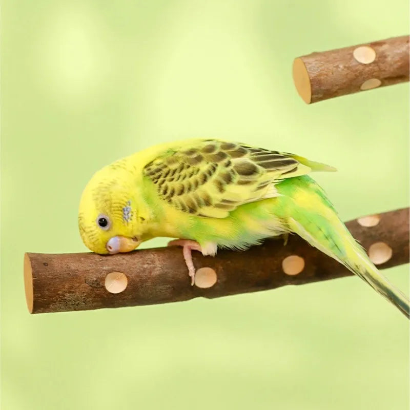 Natural Wood Bird Perch Stand for Cage Exercise